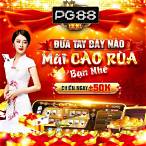 vn bet